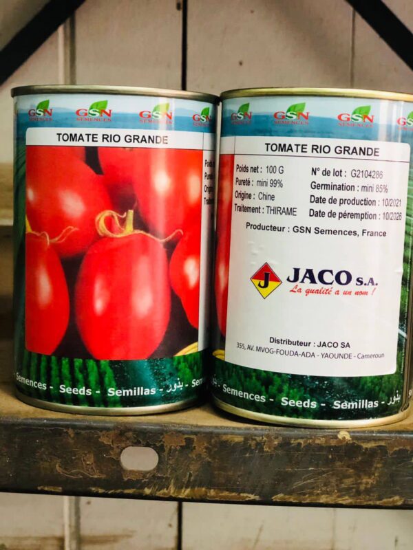 Tomate Rio Grabde(GSN)