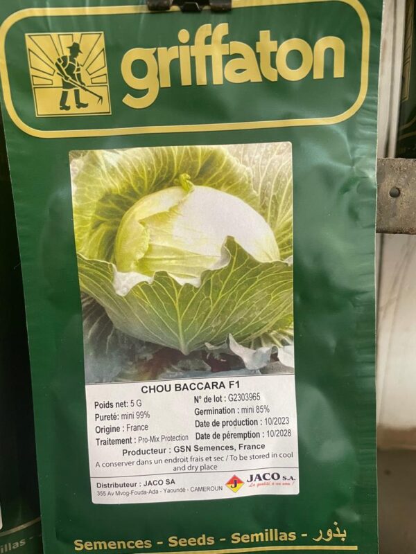 Chou Baccara F1  5G